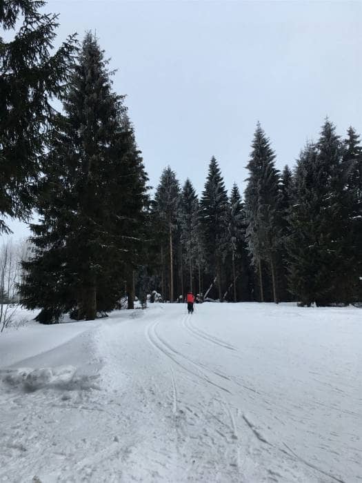 Ausflug im Winter nach Schöneck - Langlauf