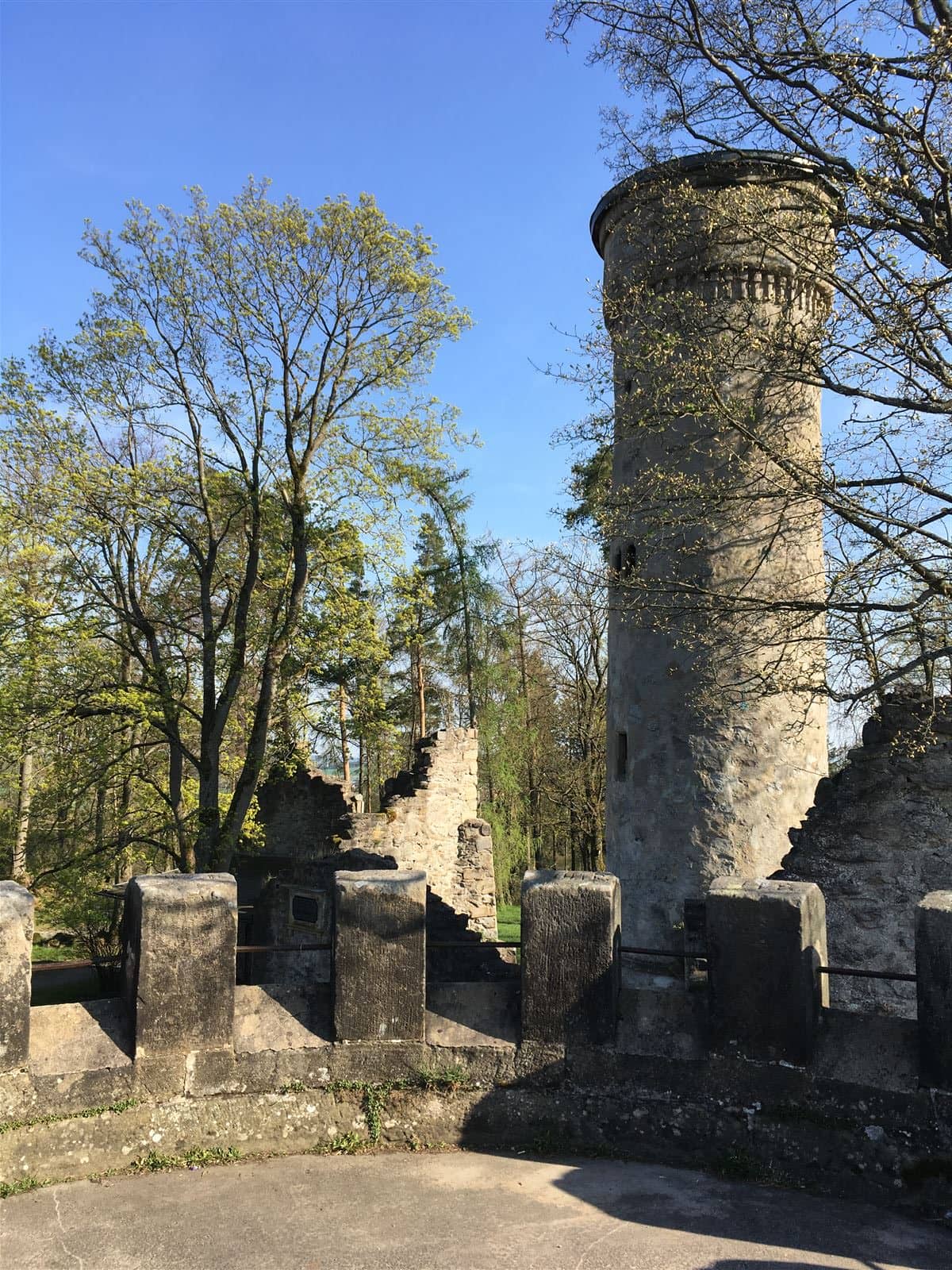 Blick auf den Turm am Theresienstein