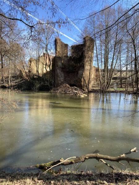 Ruine der Wasserburg Mechelgrün